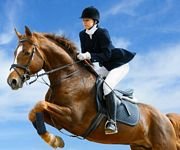 pic for Horsemanship Sport Female Rider 